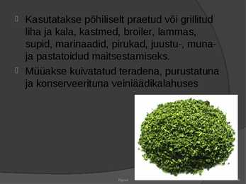 Piprad #6