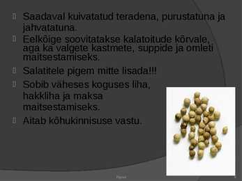 Piprad #8