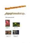 TESTID 6-7-KLASSILE #12