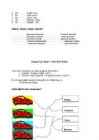 TESTID 6-7-KLASSILE #6