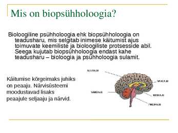 PowerPoint esitlus teemal-Bioloogiline psühholoogia #3