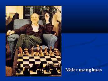 Marcel Duchamp #13