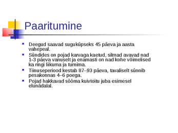 Deegu #5