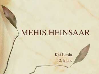 Mehis Heinsaar