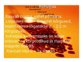 Kohv #3