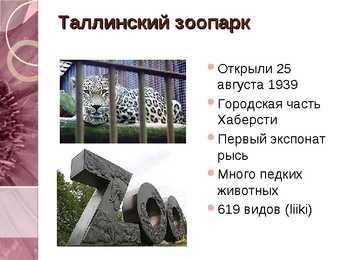 Tallinn #11