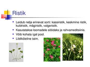 Liblikõielised #4