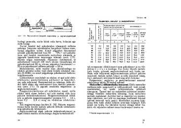 A Palu mootorratta raamat #159