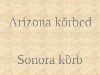 Arizona kõrbed