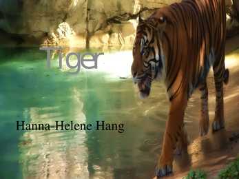 Tiiger