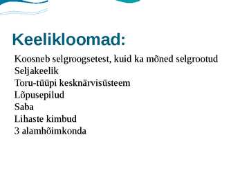 Delfiin #4