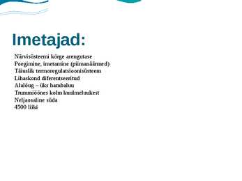 Delfiin #5