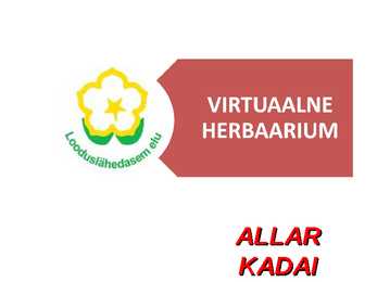 Virtuaalne herbaarium