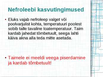 Mürkgaaside eemaldajad #14