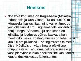 Mürkgaaside eemaldajad #15