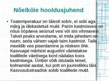 Mürkgaaside eemaldajad #16