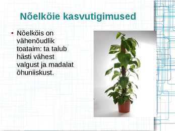 Mürkgaaside eemaldajad #17