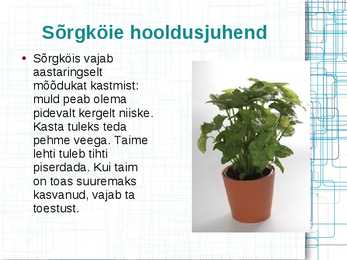 Mürkgaaside eemaldajad #19