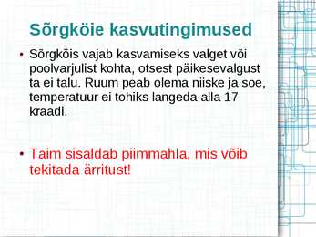 Mürkgaaside eemaldajad #20
