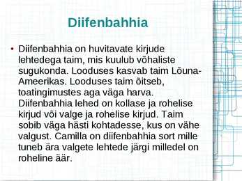 Mürkgaaside eemaldajad #21