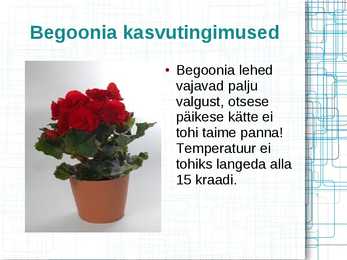 Mürkgaaside eemaldajad #29