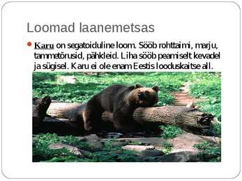Laanemetsad #17