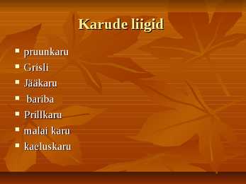Karud #2