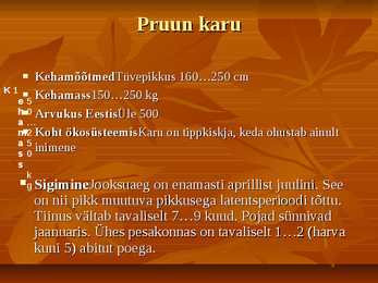 Karud #3
