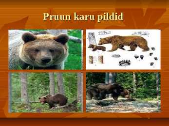 Karud #4