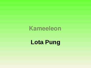 Kameeleon
