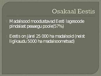 Madalsoo #16