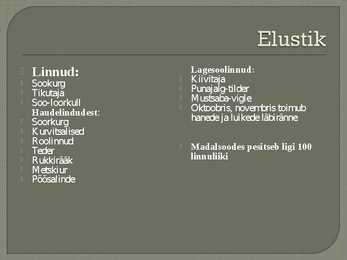 Madalsoo #5