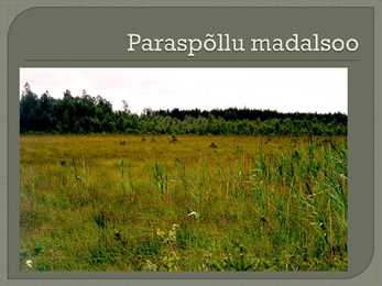 Madalsoo #10