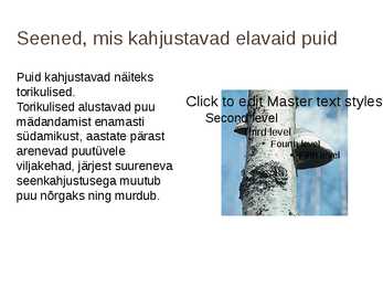 Seente kahjulikkus #7