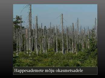 Happevihmad #7
