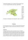 Ilves #3