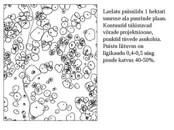 Taimkate #12