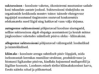 Taimkate #13