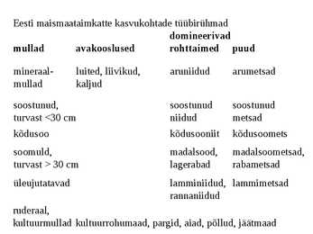 Taimkate #17