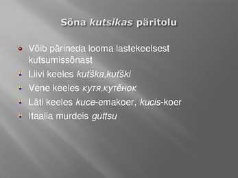 Kust need loomad nimed said #11