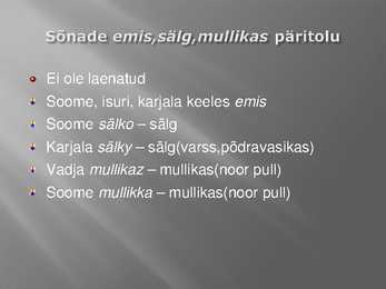 Kust need loomad nimed said #12
