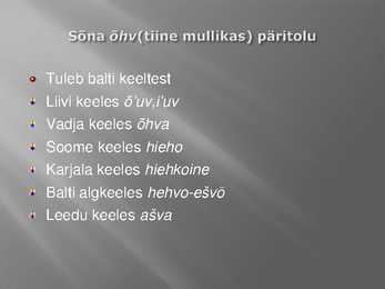 Kust need loomad nimed said #7