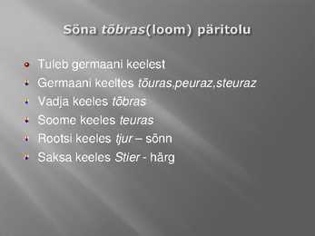 Kust need loomad nimed said #8