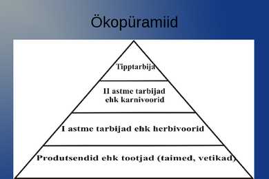 Niilus #14