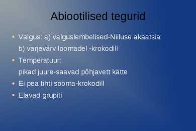 Niilus #4