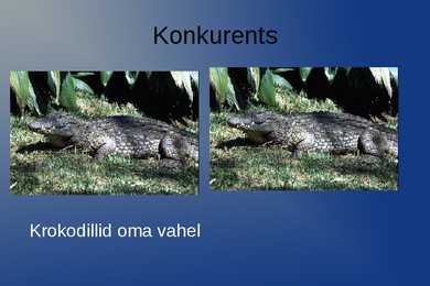 Niilus #10
