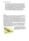 Laanemets #5