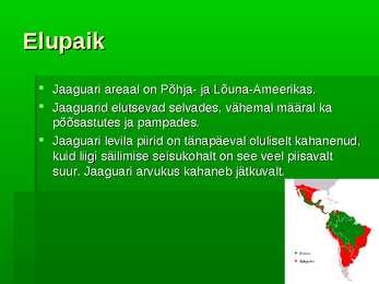 Jaaguar #3