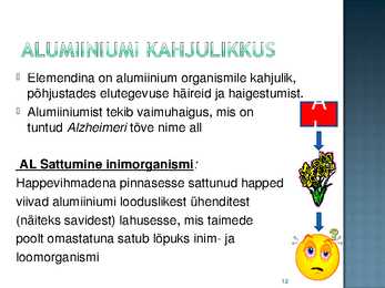 Alumiinium #12
