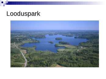 PARK #9